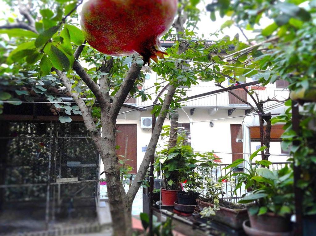 La Casa Di Margit Nova Milanese Exterior foto